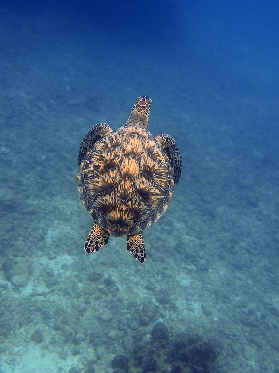 76b54923-9249-44dd-b603-5fe29b5429f1