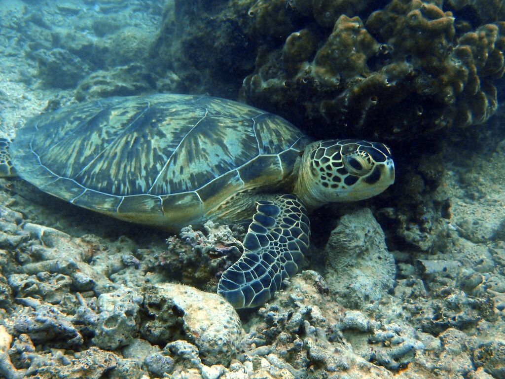 76b54923-9249-44dd-b603-5fe29b5429f1