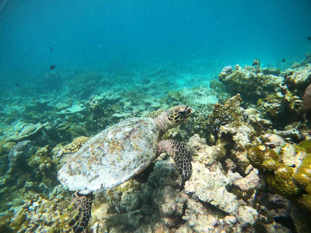 05761fed-f262-42b4-882c-02be754c9d0e