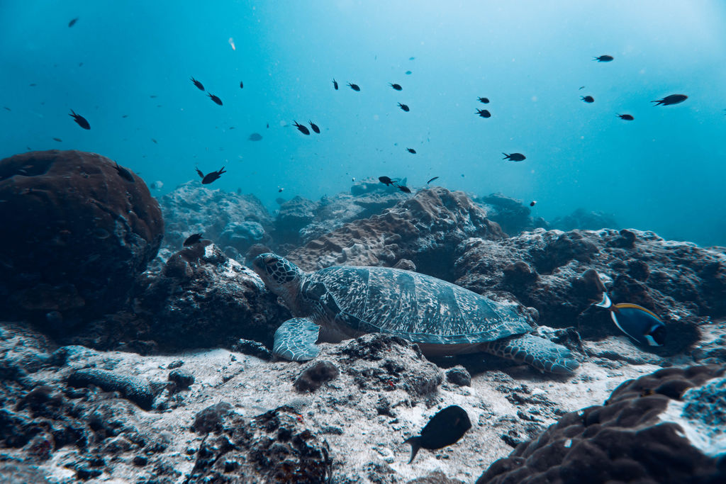 c8740ff6-8ee3-4d6c-b544-3d9a4acdcf86