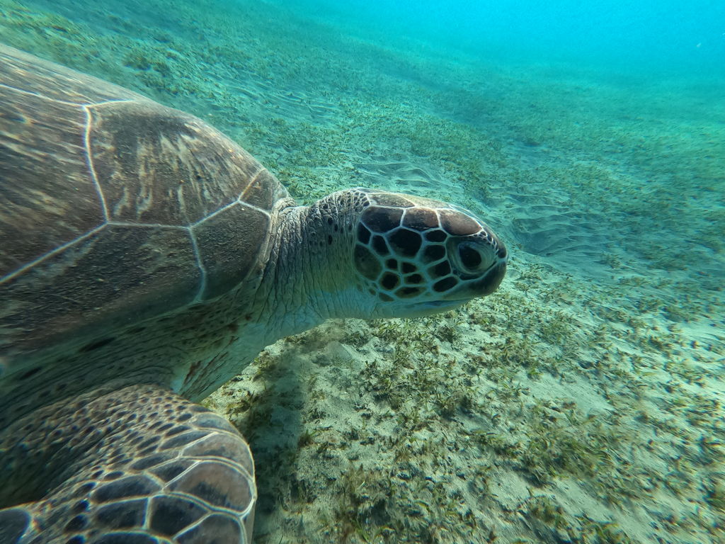 fac409f4-4b5c-41b6-bfe2-3fb84713fcc1