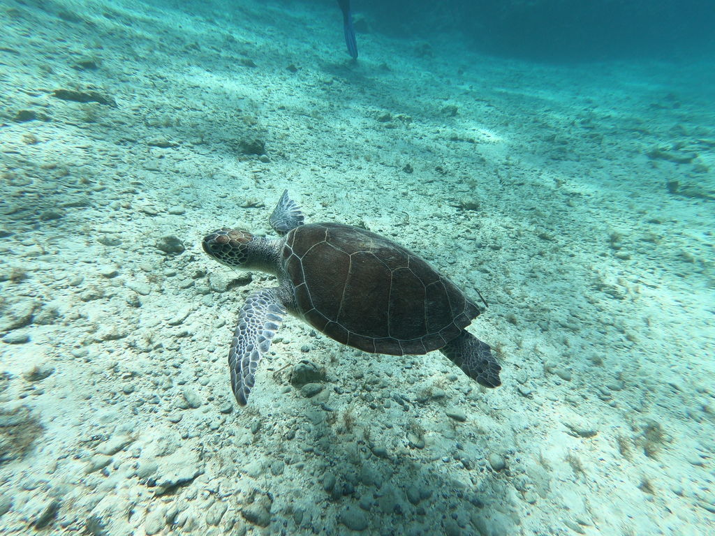 1c41368f-be56-4096-8157-4a0bf3967d55