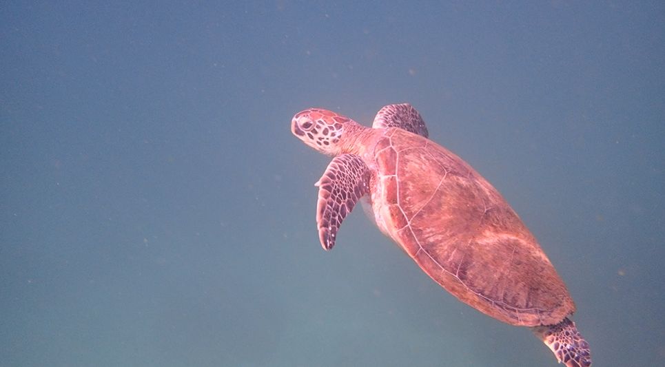 5bbc6b9f-a09a-4c5d-ab32-53a7fcca932a