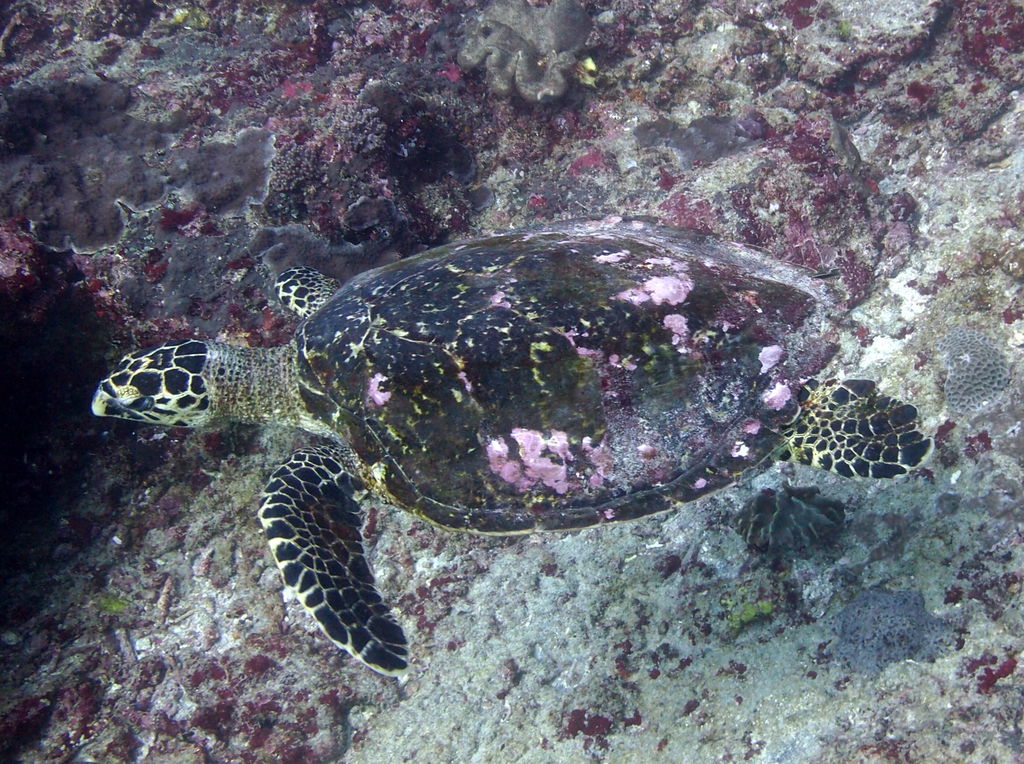 3bcc39b0-fcb2-4ab0-8537-6951963ebced