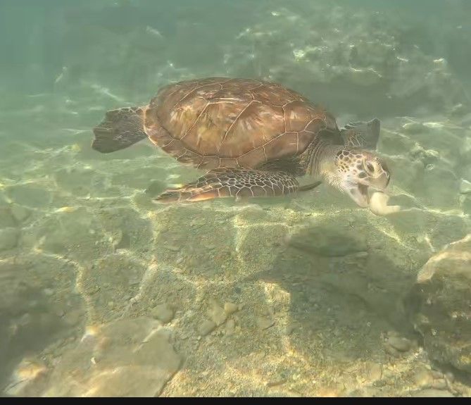 72b381a9-4f89-49c1-af09-7e4e43593eb0