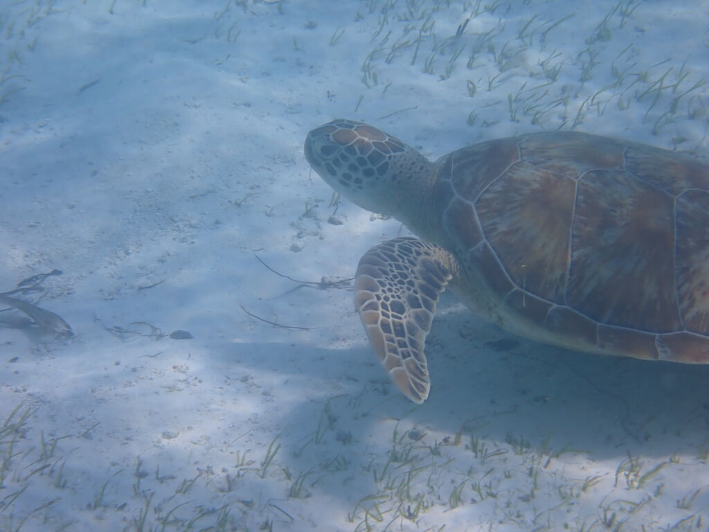 f24acb59-96ae-409c-a9df-b19b33b13eb8