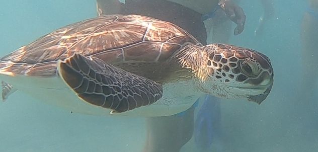 2f3c79c1-ecd8-470a-8cff-73d0fd941088