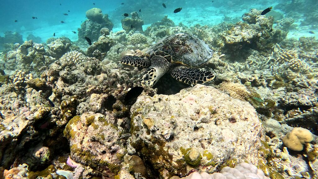 0c0cfeba-133a-48e8-b8c2-1470f8c70053