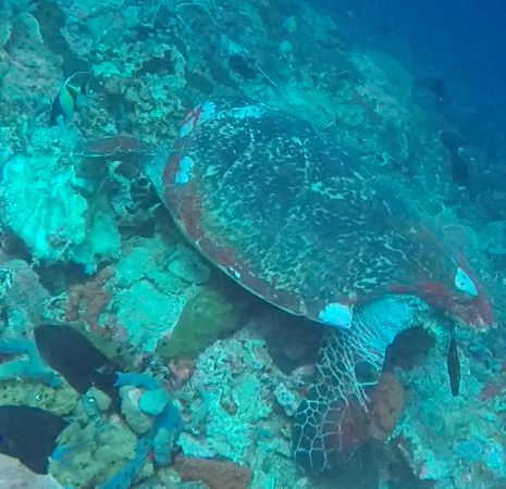 ddf54289-6a32-4963-9ebd-0669c39fffe0