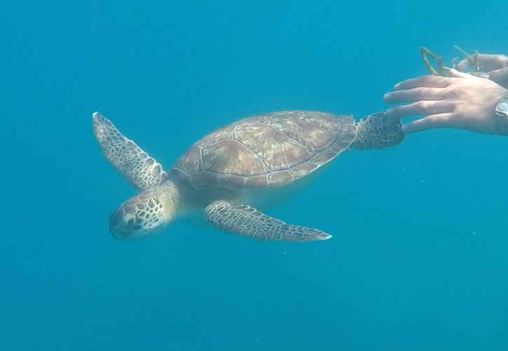 2f3c79c1-ecd8-470a-8cff-73d0fd941088