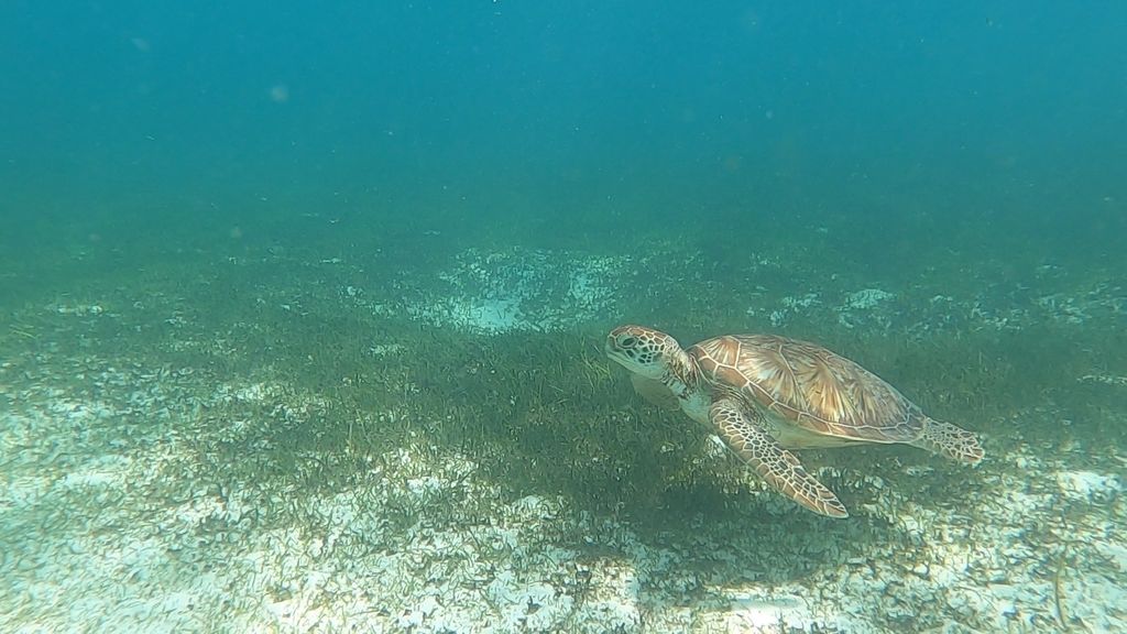 390985b4-9449-49a2-a830-fd57ebd15800