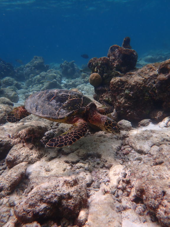 d03c91c5-d6e8-4aac-983c-b330fb6eaf96