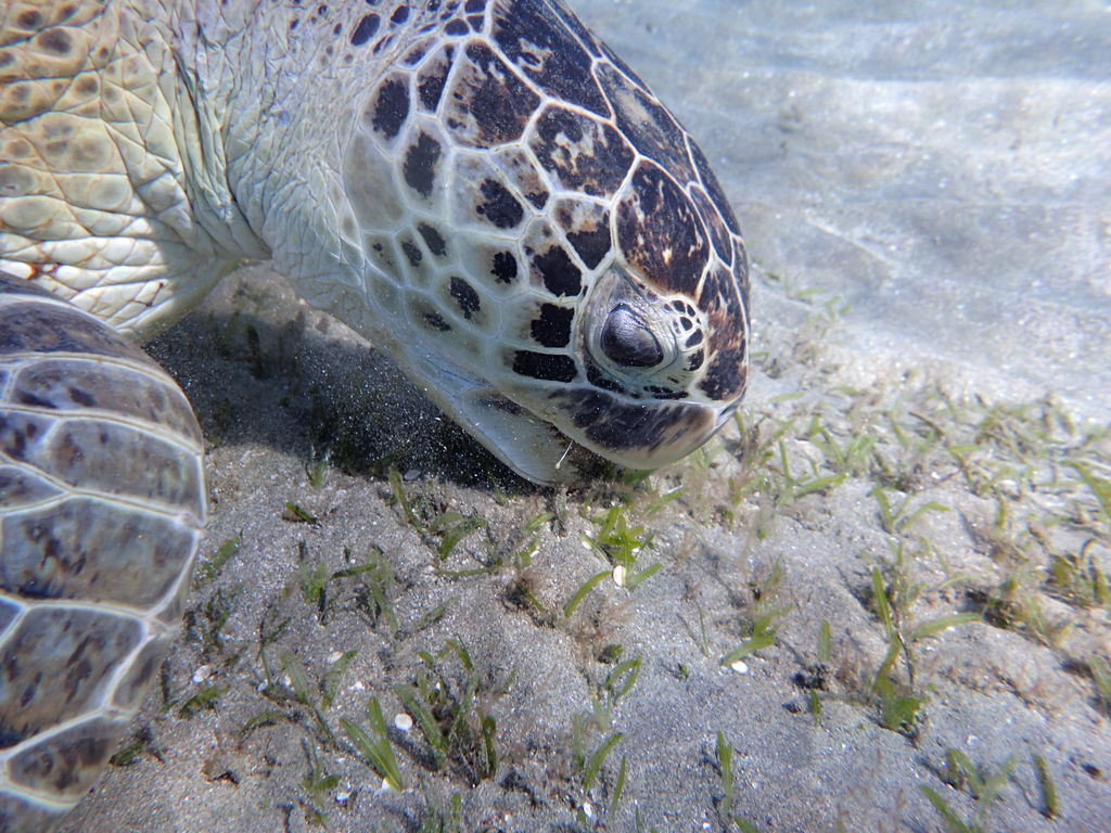 2afa4537-e177-4e31-a5a3-6daf523182a0