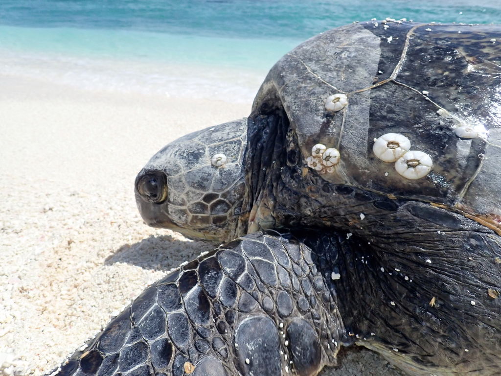 fd358a41-b13e-4eae-82ab-afca44120a1f