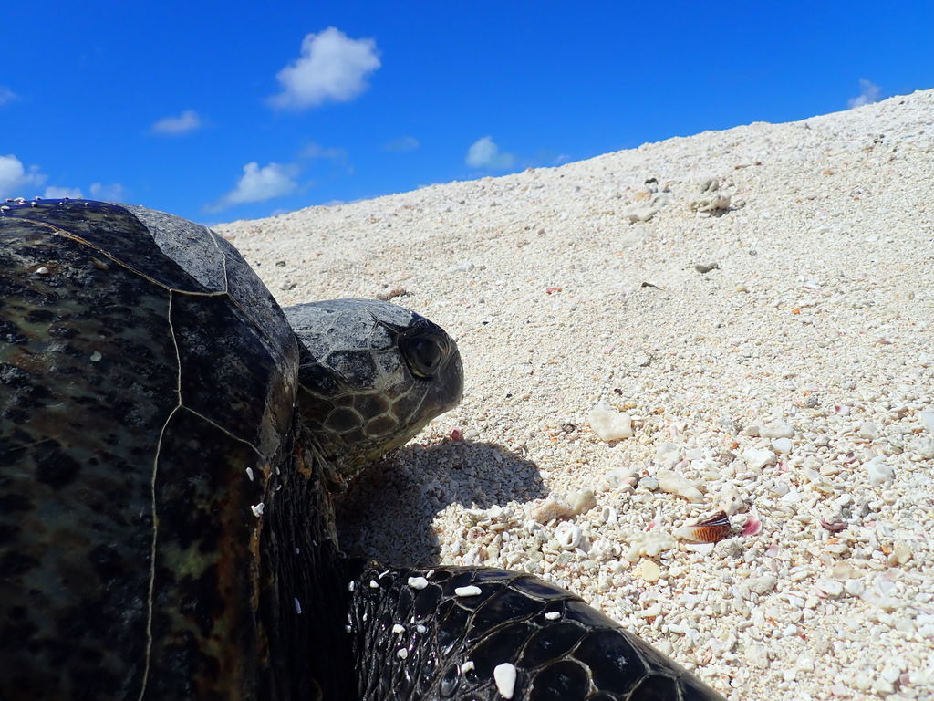 fd358a41-b13e-4eae-82ab-afca44120a1f