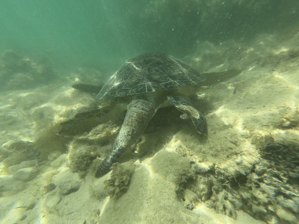 a60a87f1-6e36-44d0-b8ee-2a1b272bdb59