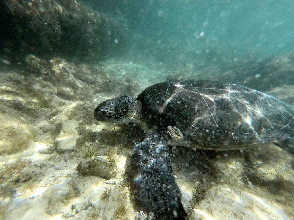 a60a87f1-6e36-44d0-b8ee-2a1b272bdb59