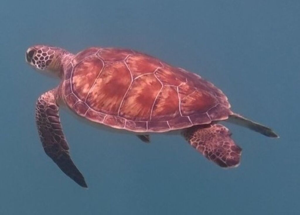 bb43052b-a1c3-4872-862f-5a562c8b9307