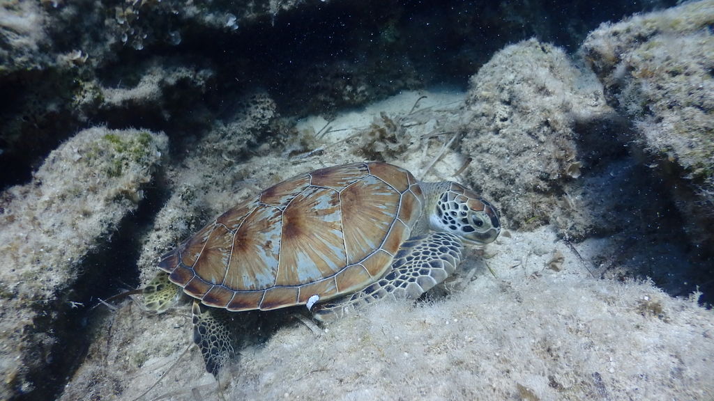 958251eb-5e89-4cb6-9c6f-18b10bdad950