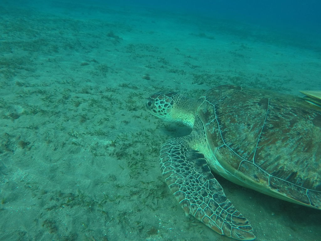 a5761297-d9e5-4d73-aa02-bd6b71730501