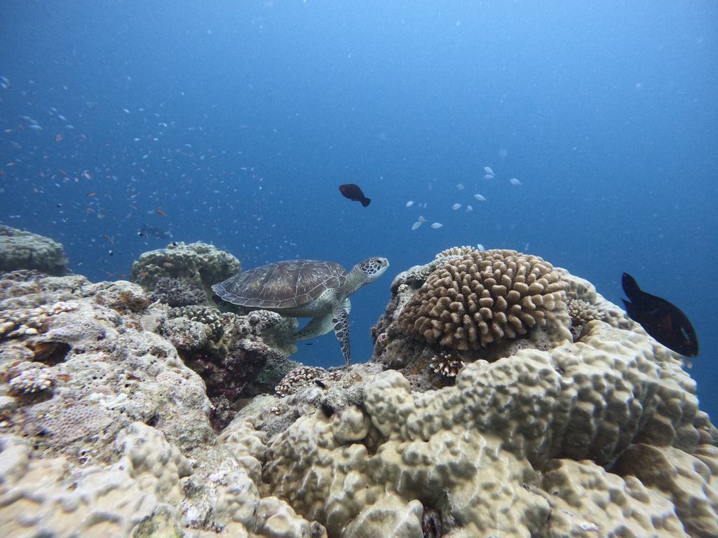 ce25f86f-aac2-49b9-8192-74326e8c3ac7