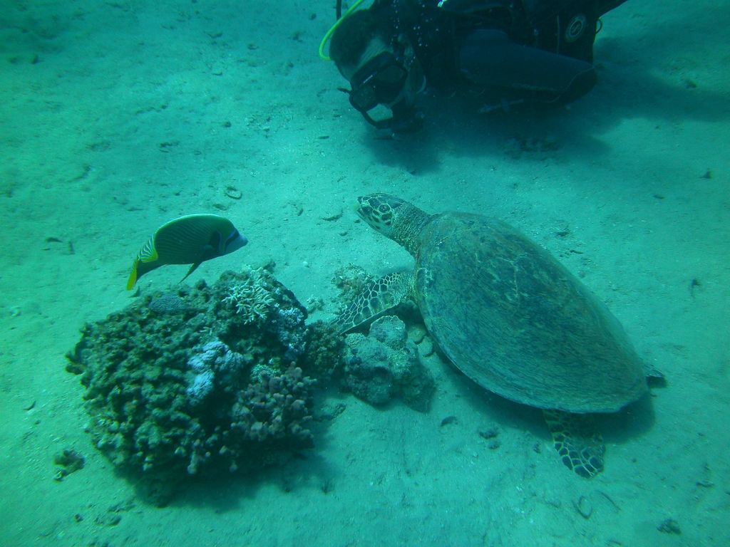 e0307314-750a-4e69-9f79-c34a158c0b34