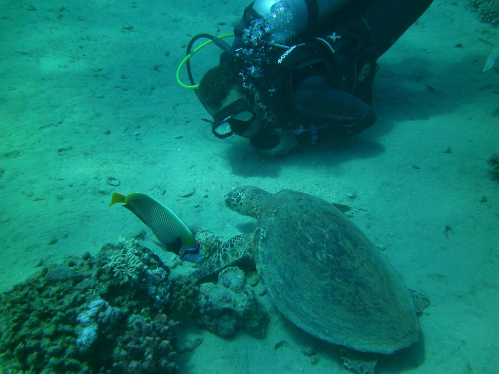 e0307314-750a-4e69-9f79-c34a158c0b34