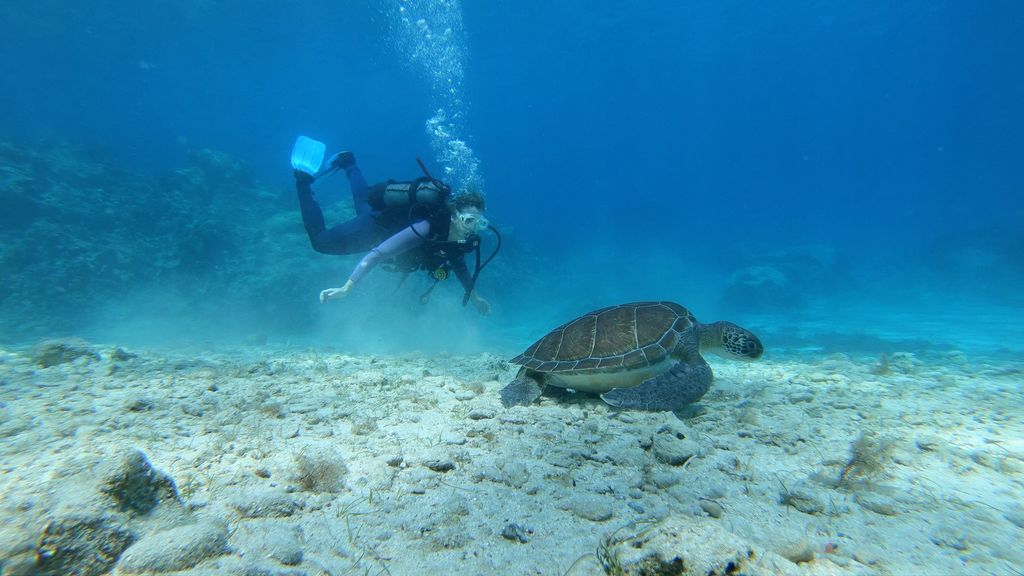 1c41368f-be56-4096-8157-4a0bf3967d55