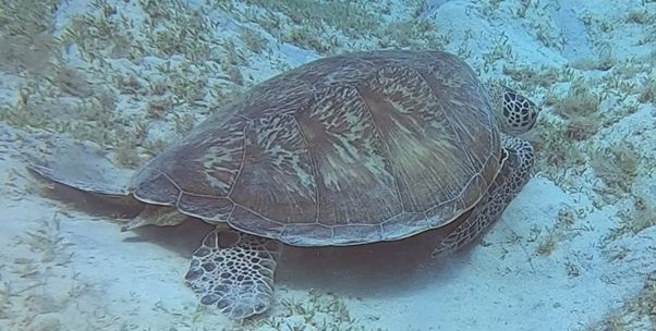 ba72692f-bad5-48b4-8b6c-a7b66a09e225