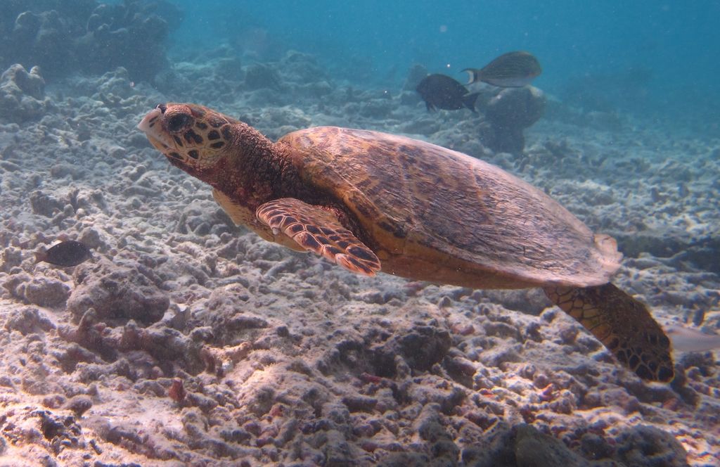 742b0310-ca9a-411f-bb60-2db0cbf4f924