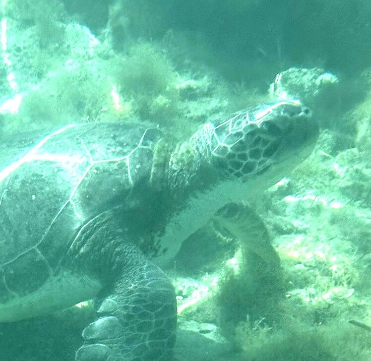 430d99f8-6401-4ee4-bdfb-b121fb98a742