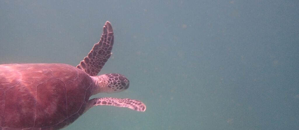 8a4b5dd9-1edd-4a4d-888f-e2644ab4effb