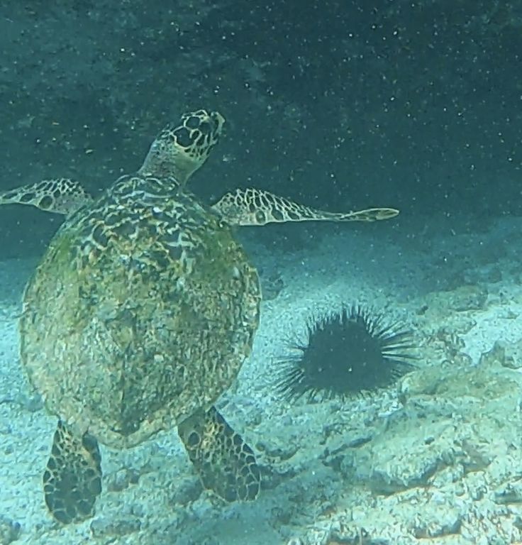 3f35bc78-d10f-4930-9ed9-0f9864ba75a3