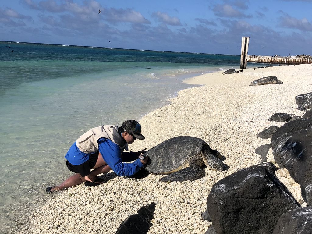 6f44912a-a2e1-4839-8cb4-81c201fc9980