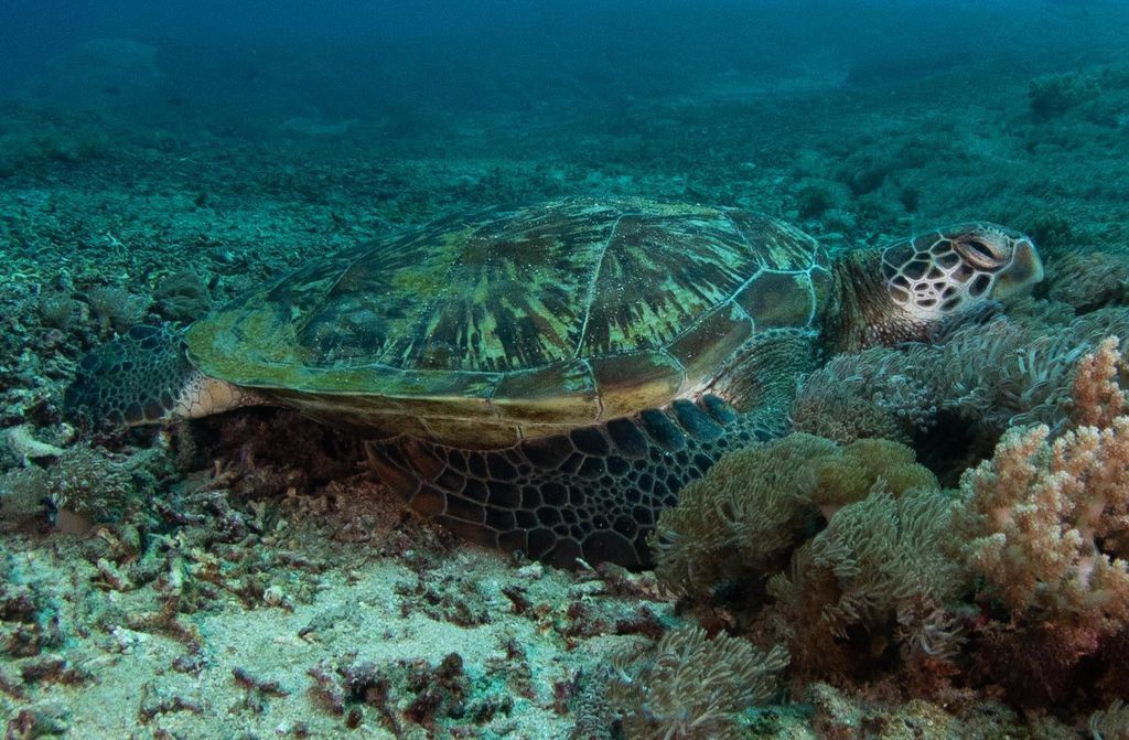 2f2ccabf-b721-4088-941b-0c098a8bef22