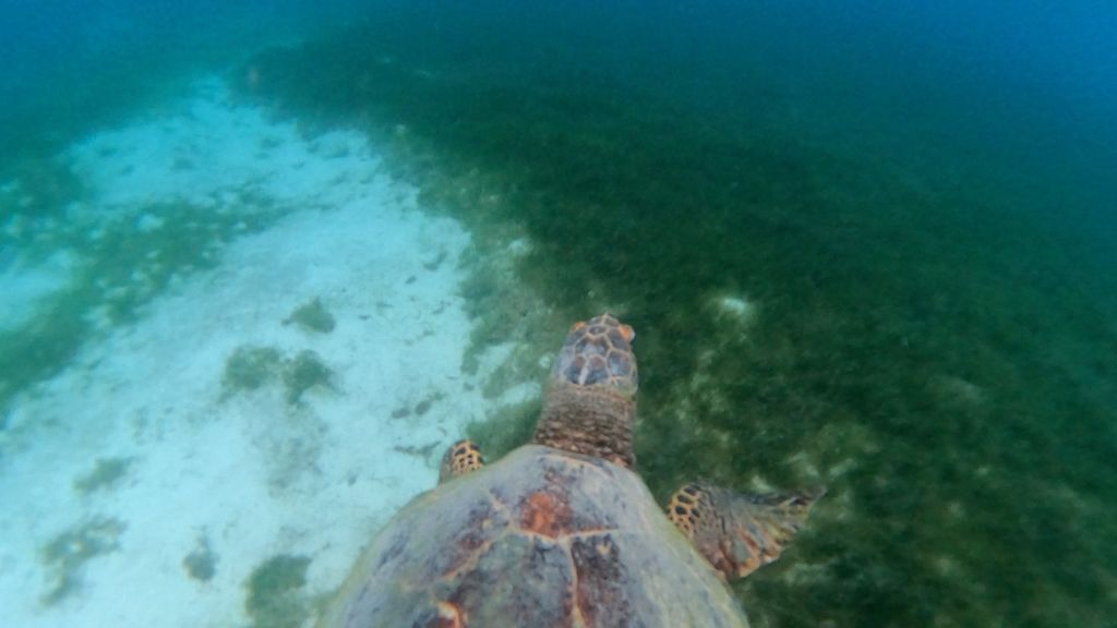 81774604-48f7-4b85-b8fd-a5a84530f3a2