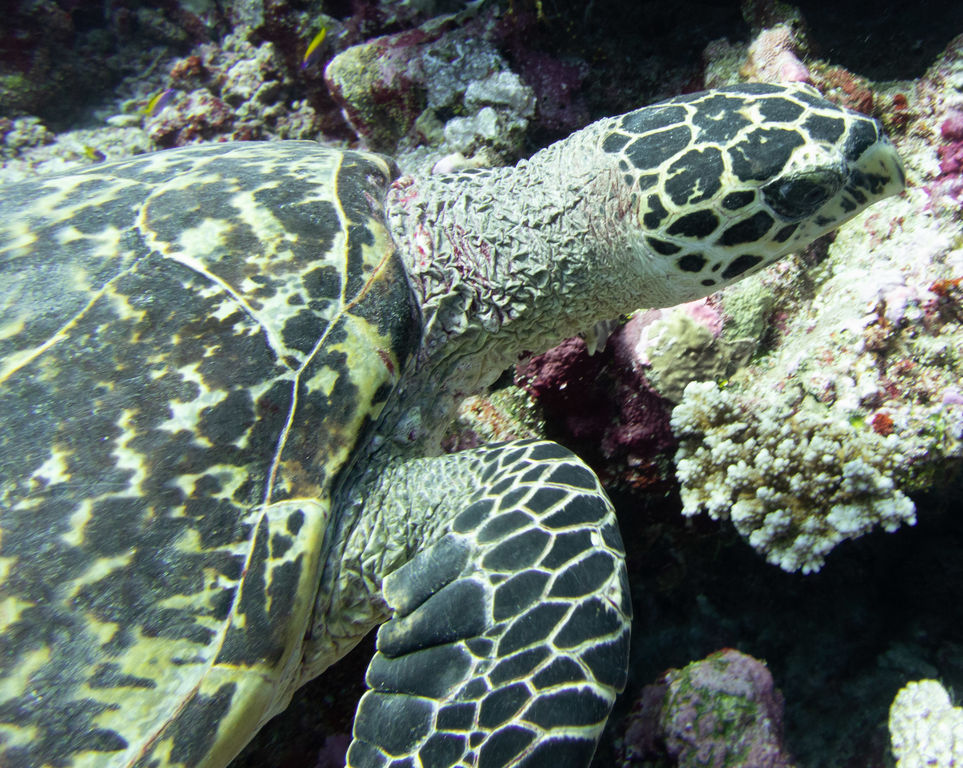 efc20d4c-cf7e-4238-8304-e34404094ede