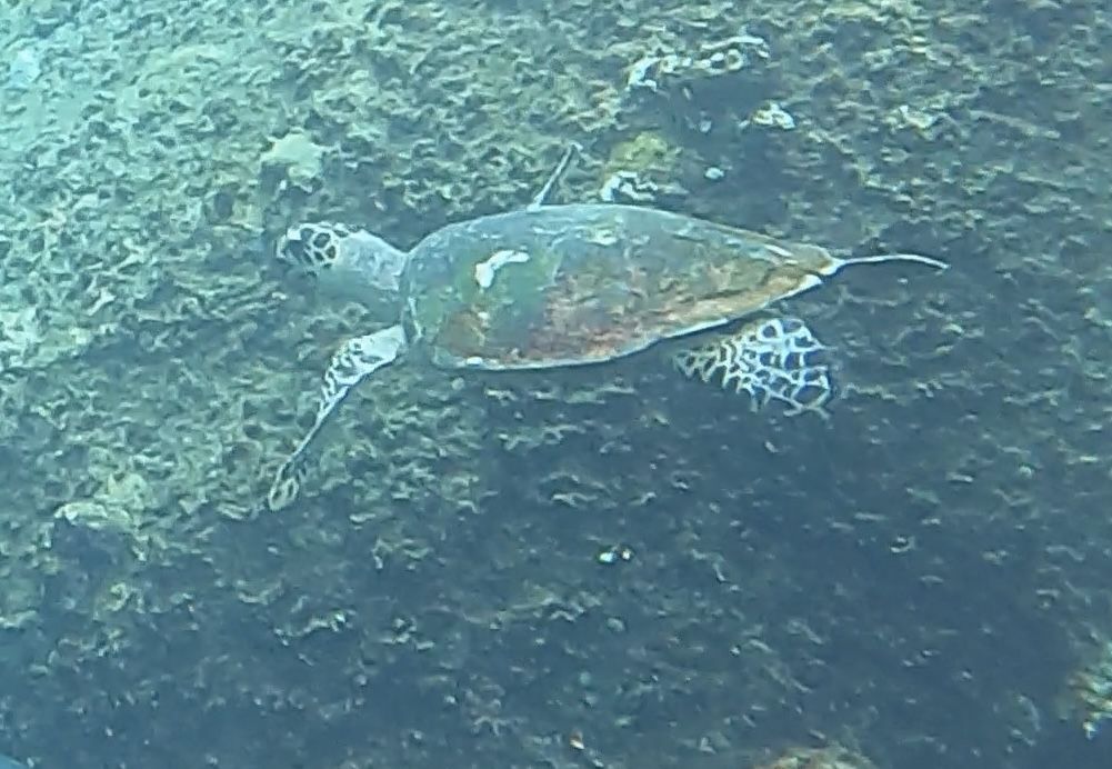 6267510a-941c-4341-a580-b7ba4df4d89a