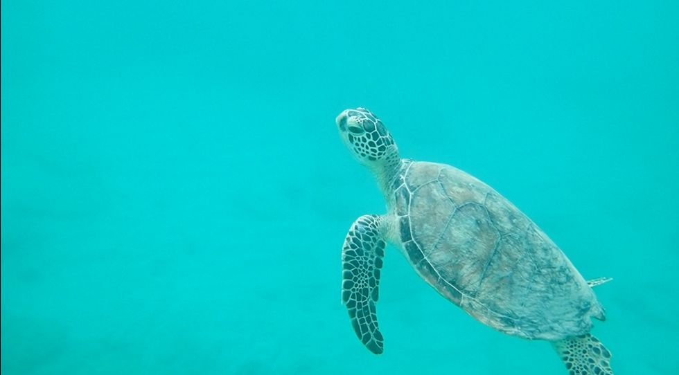 8a4b5dd9-1edd-4a4d-888f-e2644ab4effb