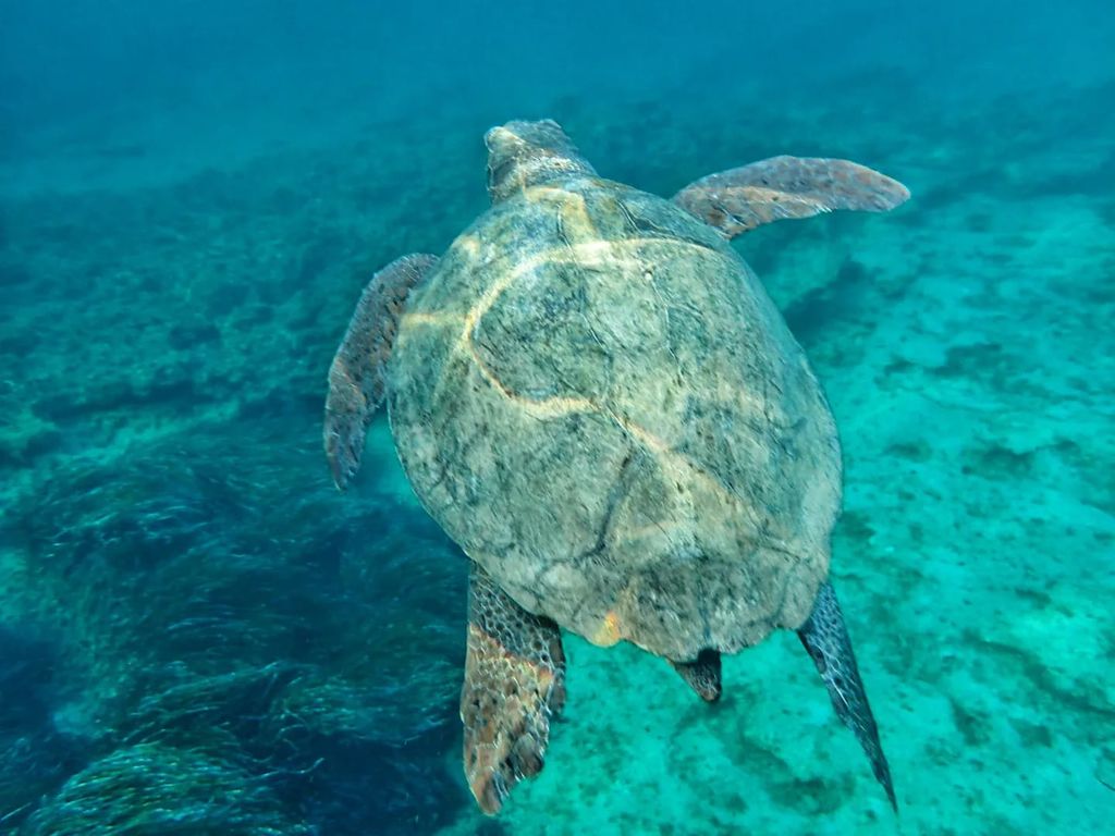 ed73800a-8e90-4f79-b1f3-72137d6bb2a2