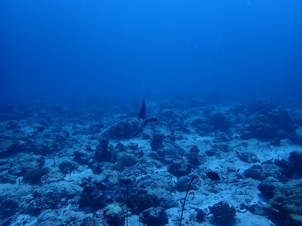 32266876-4e72-453c-8a9e-efa76c09dd41