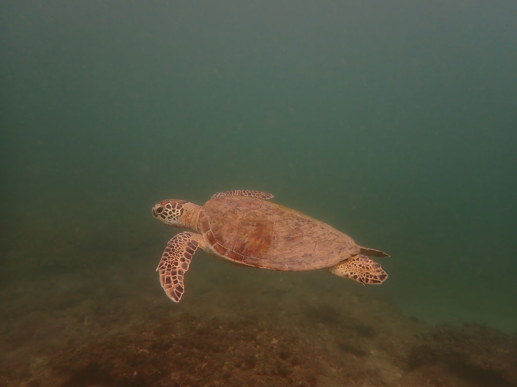 1adb12b3-768b-47ab-8b25-2dd38fce38b9