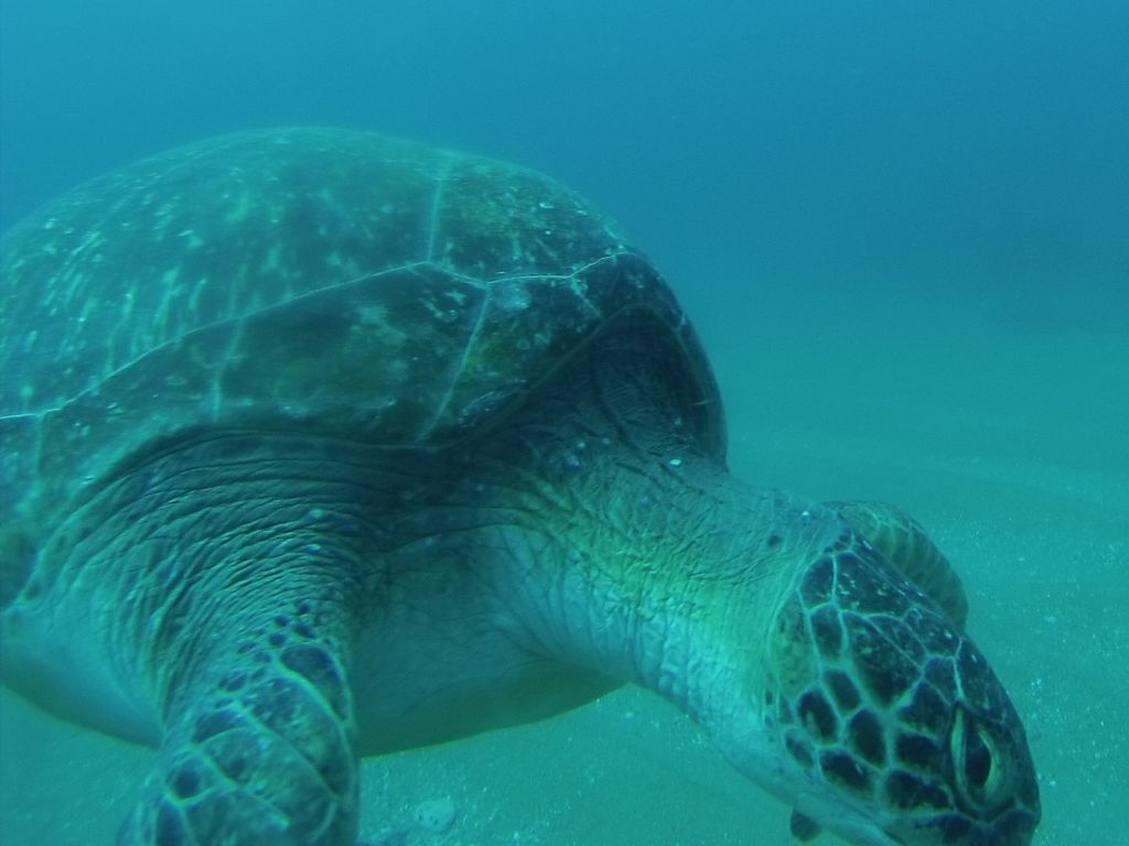 464dd477-1355-41e1-a7cf-656fa7600051