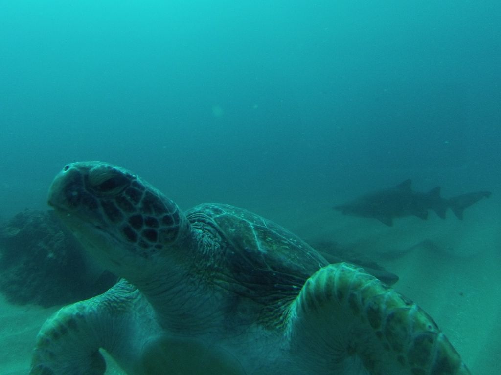 464dd477-1355-41e1-a7cf-656fa7600051