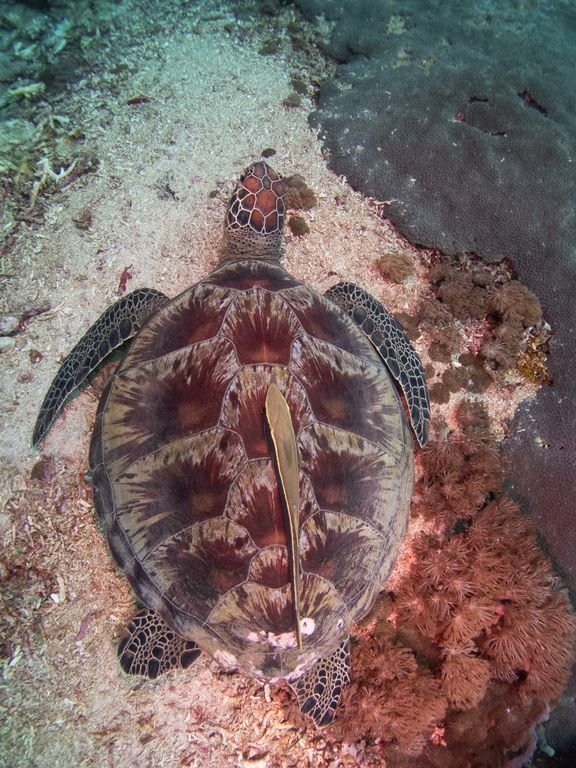 92cda8ff-fa9d-4bd0-b566-4ab0ebf51edc