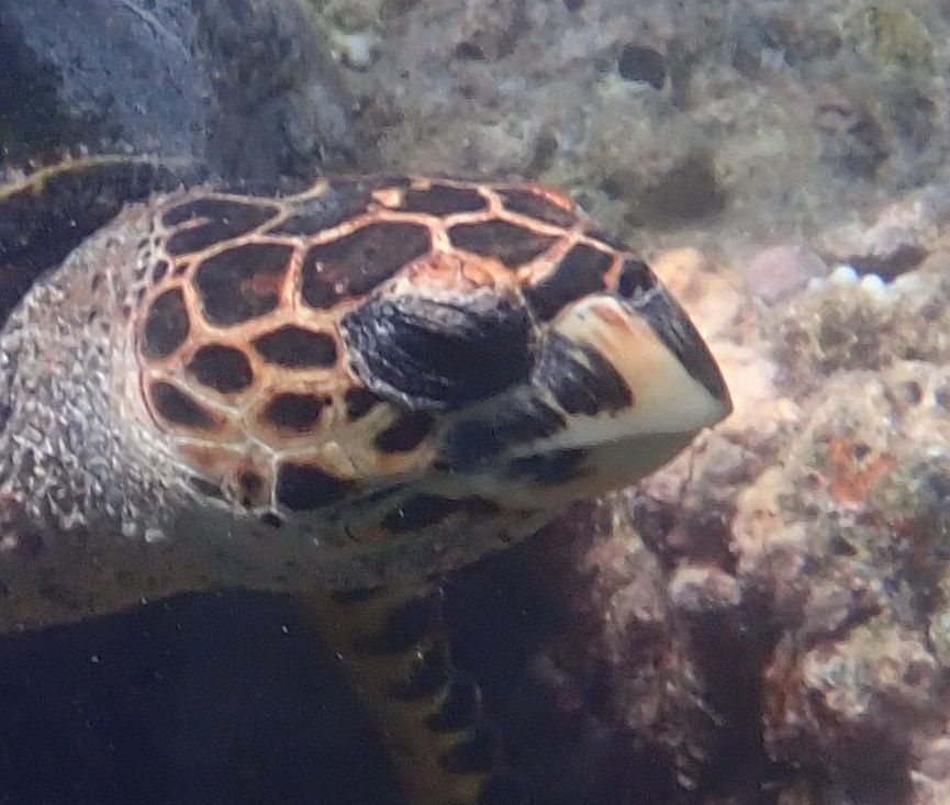 f561ff65-7e80-4094-892c-1e2bbaa6d4d1