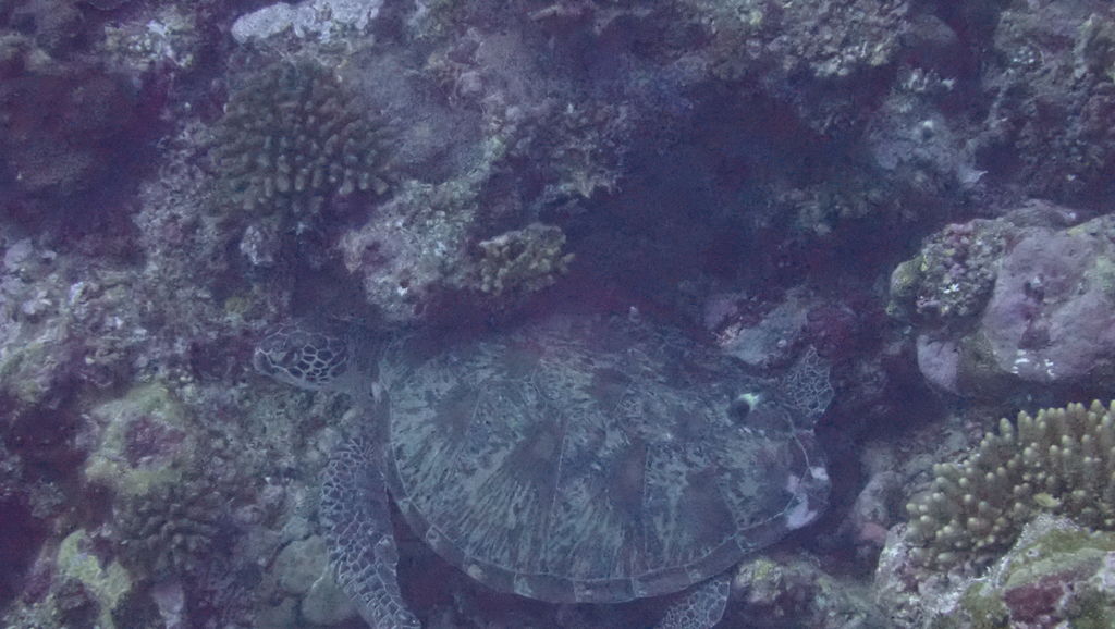 753ae98d-0e82-431e-8889-35deff516b2c