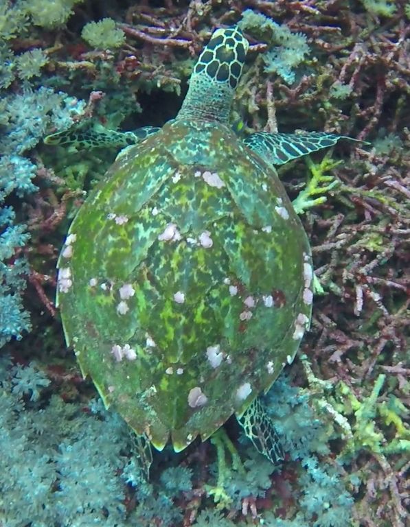 d4926700-8a0d-4e29-b3da-2591c4509505