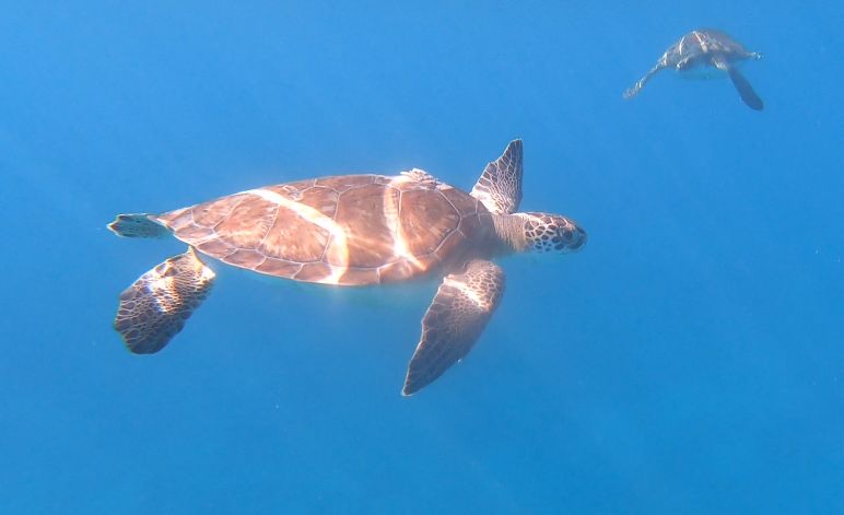 0e958220-5ca6-4bd1-9f61-fdfd2bf6c1c2