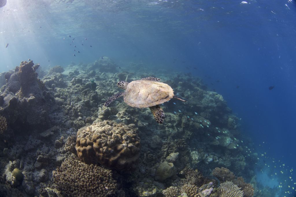 88ef67a1-c654-4632-a7e5-ec306695b4df